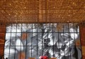 招聘芭蕾老师文案（诚邀芭蕾艺术导师加入，共创优雅舞台）