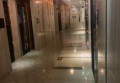 上海物贸行业最新招聘网站汇总